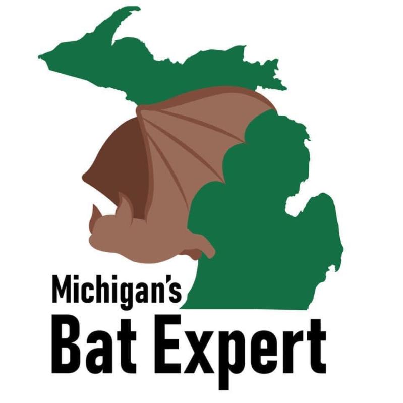 Michigan's Bat Expert