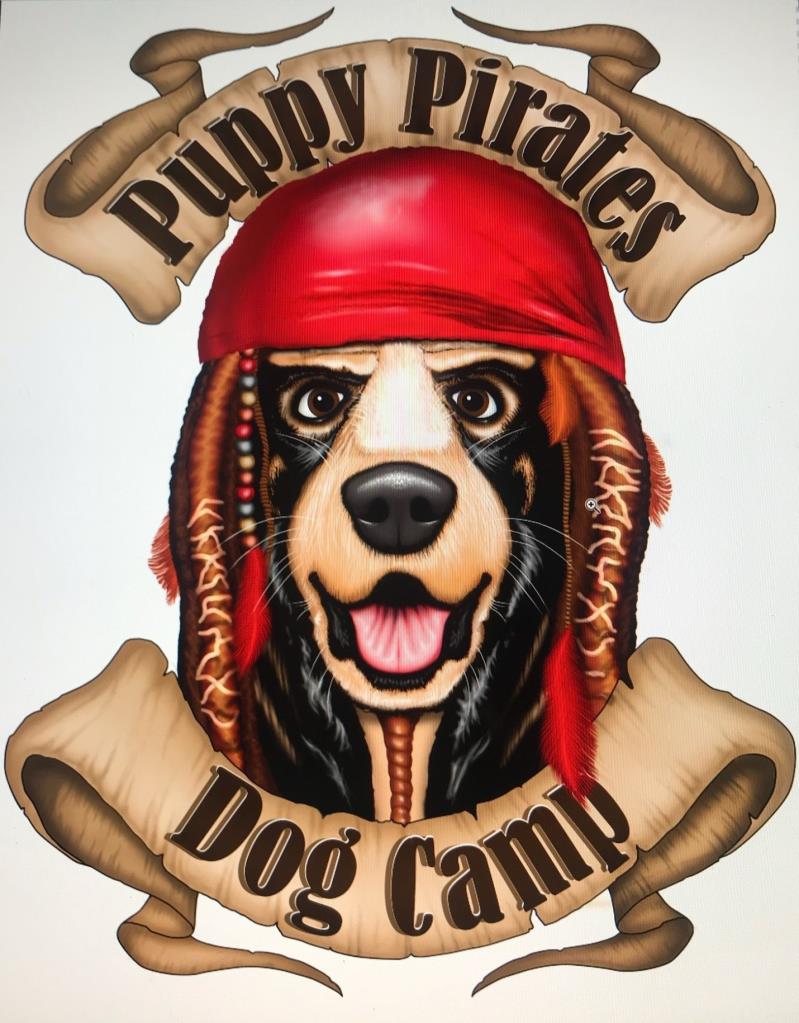 Puppy Pirates Dog Camp
